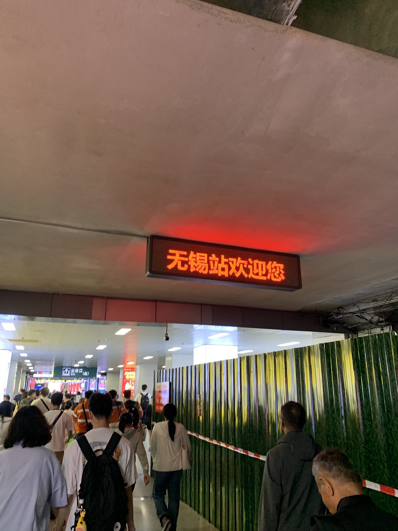 挿入画像